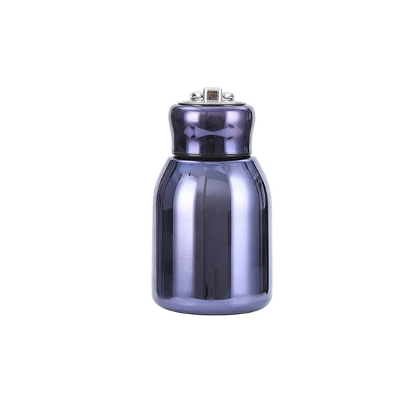 Vacuum-Insulated Original Water Bottles